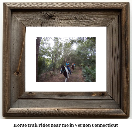 horse trail rides near me in Vernon, Connecticut